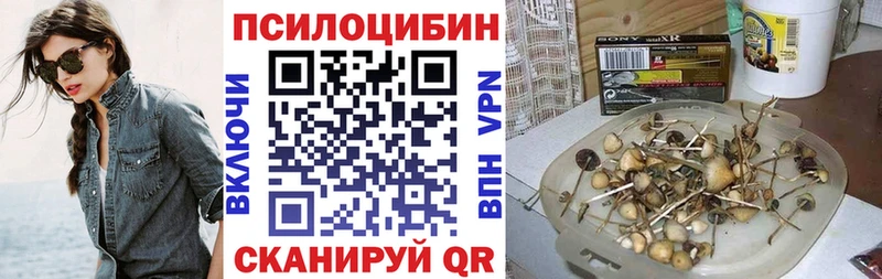 Псилоцибиновые грибы мицелий  Ильский 